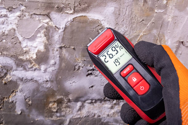 Trusted Fort Stewart, GA Mold Remediation Experts